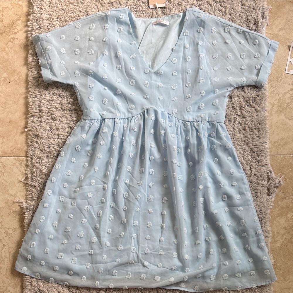 Light Blue Swiss Dot Women’s dress